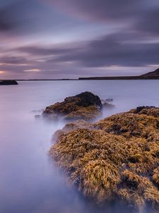 Превью обои залив, камни, водоросли, рассвет, гладь воды