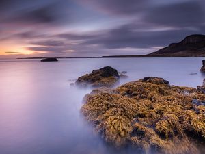 Превью обои залив, камни, водоросли, рассвет, гладь воды