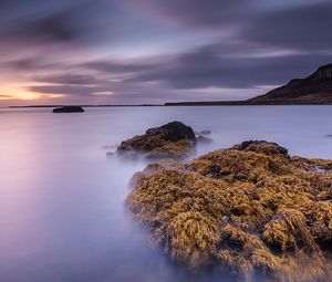 Превью обои залив, камни, водоросли, рассвет, гладь воды