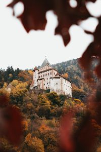 Превью обои замок, архитектура, холм, лес