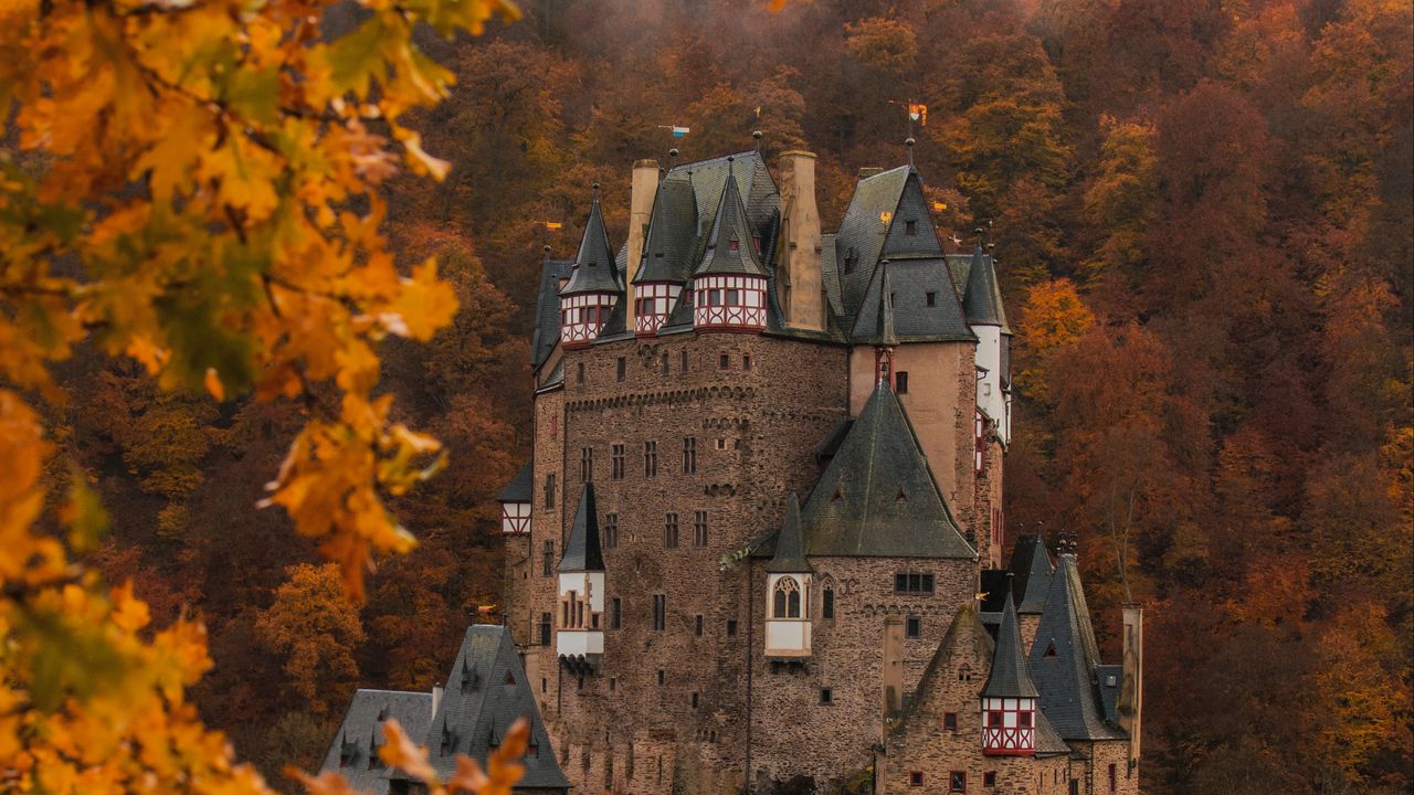 Обои замок, осень, архитектура, германия, ветки, листья