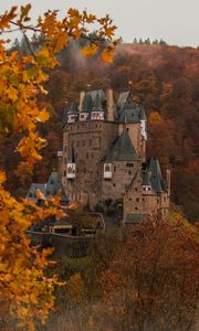 Превью обои замок, осень, архитектура, германия, ветки, листья