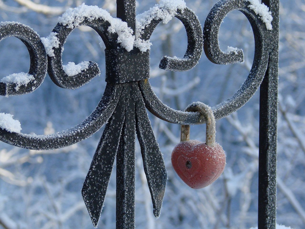 Зима на сердце на душе оригинал. Зима в сердце. Сердце на снегу. Два сердца на снегу. Веточка снег и сердечко.