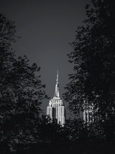 Превью обои здание, архитектура, дерево, листья, черно-белый