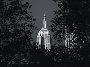 Превью обои здание, архитектура, дерево, листья, черно-белый