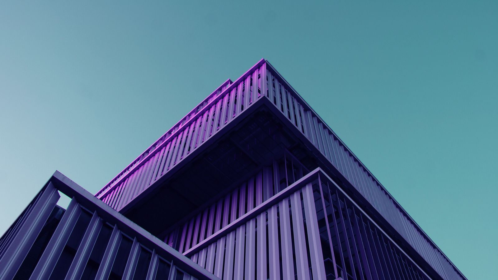 Фиолетовая архитектура