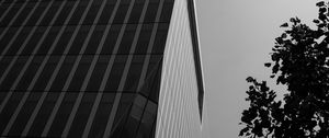 Превью обои здание, архитектура, угол, дерево, листья, чб