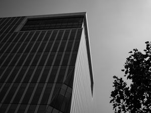 Превью обои здание, архитектура, угол, дерево, листья, чб