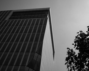 Превью обои здание, архитектура, угол, дерево, листья, чб
