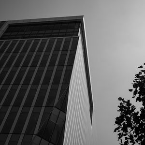 Превью обои здание, архитектура, угол, дерево, листья, чб