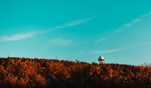 Превью обои здание, башня, шар, деревья, верхушки