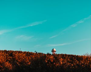 Превью обои здание, башня, шар, деревья, верхушки