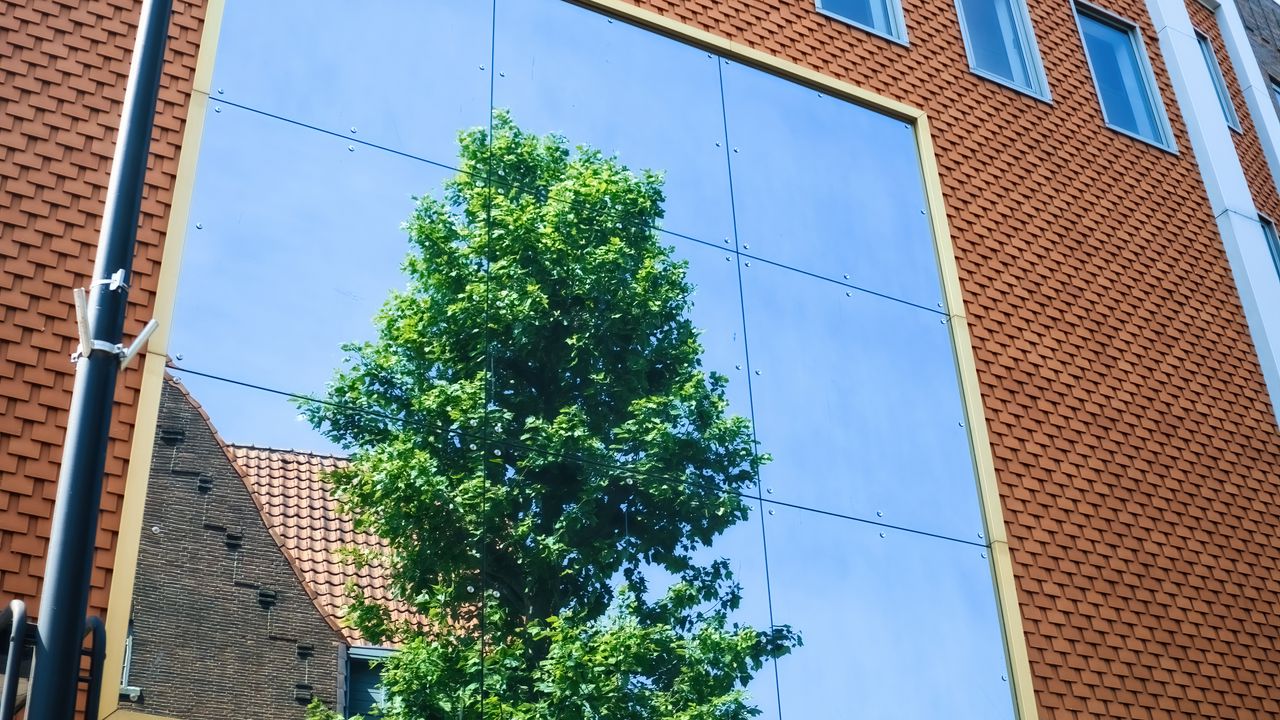 Обои здание, фасад, зеркало, дерево