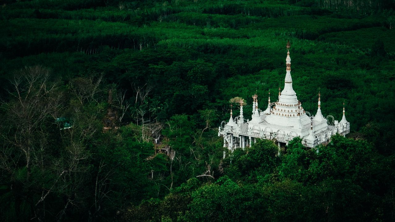 Фото лес мой храм
