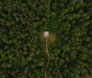 Превью обои здание, крыша, лес, вид сверху, тропнка