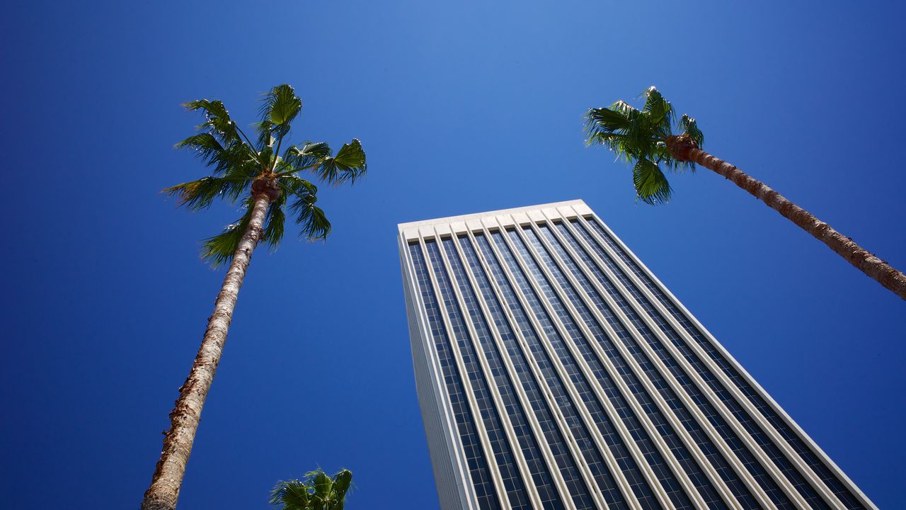 Обои здание, пальмы, архитектура, небо, вид снизу