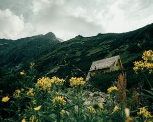 Превью обои здание, трава, цветы, холмы, склон, небо