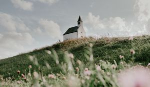 Превью обои здание, церковь, холм, цветы, трава