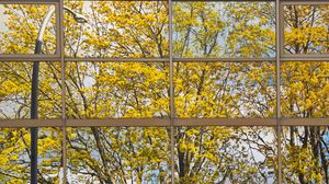 Превью обои здание, зеркало, дерево, отражение, осень