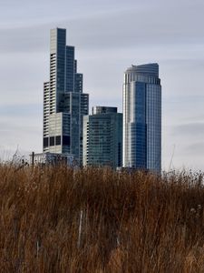 Превью обои здания, башни, небоскребы, архитектура, трава