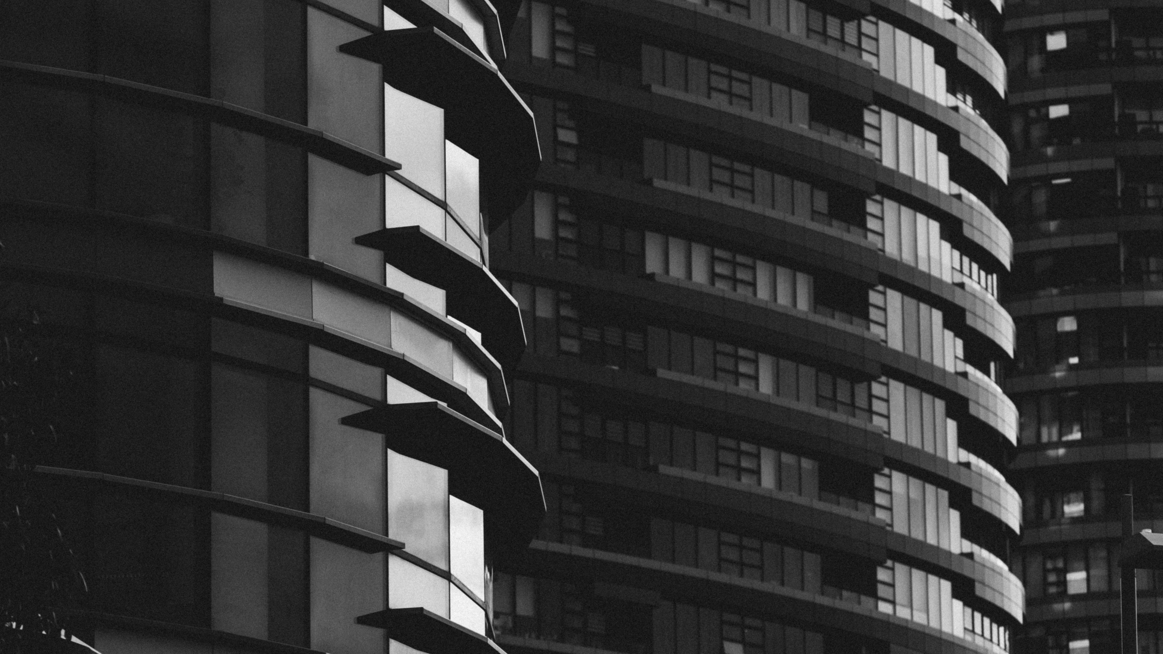 Обои architector black and white