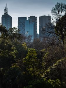 Превью обои здания, город, небоскребы, деревья