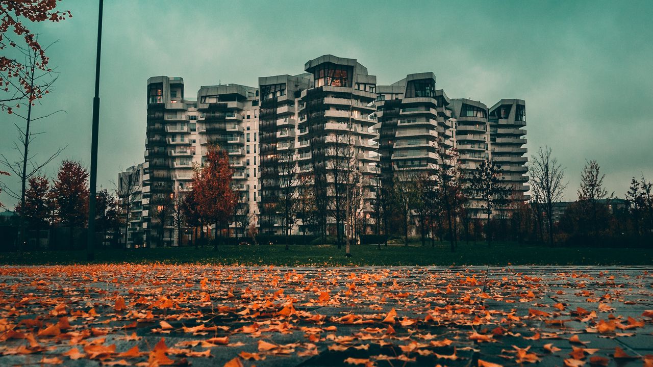 Обои здания, город, осень, листья