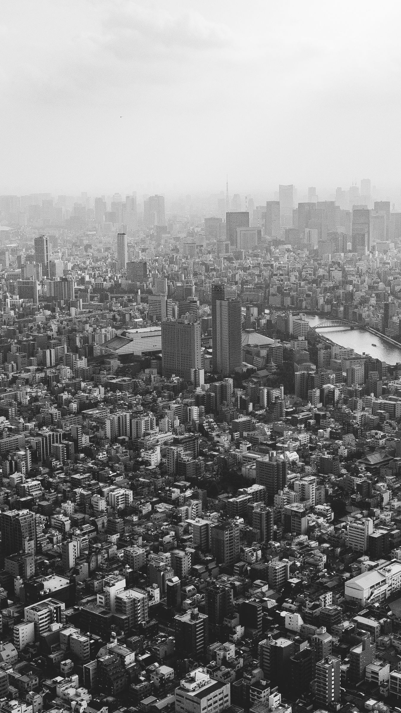 1350x2400 Обои здания, город, туман, токио, япония, черно-белый