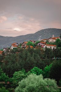 Превью обои здания, холм, деревья, небо