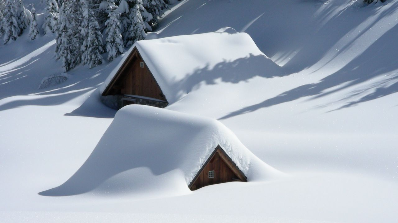 Обои здания, снег, возвышенность, деревья