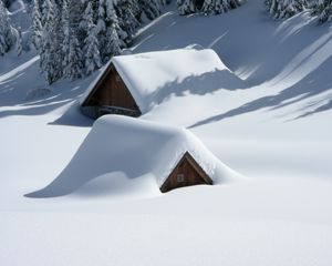 Превью обои здания, снег, возвышенность, деревья