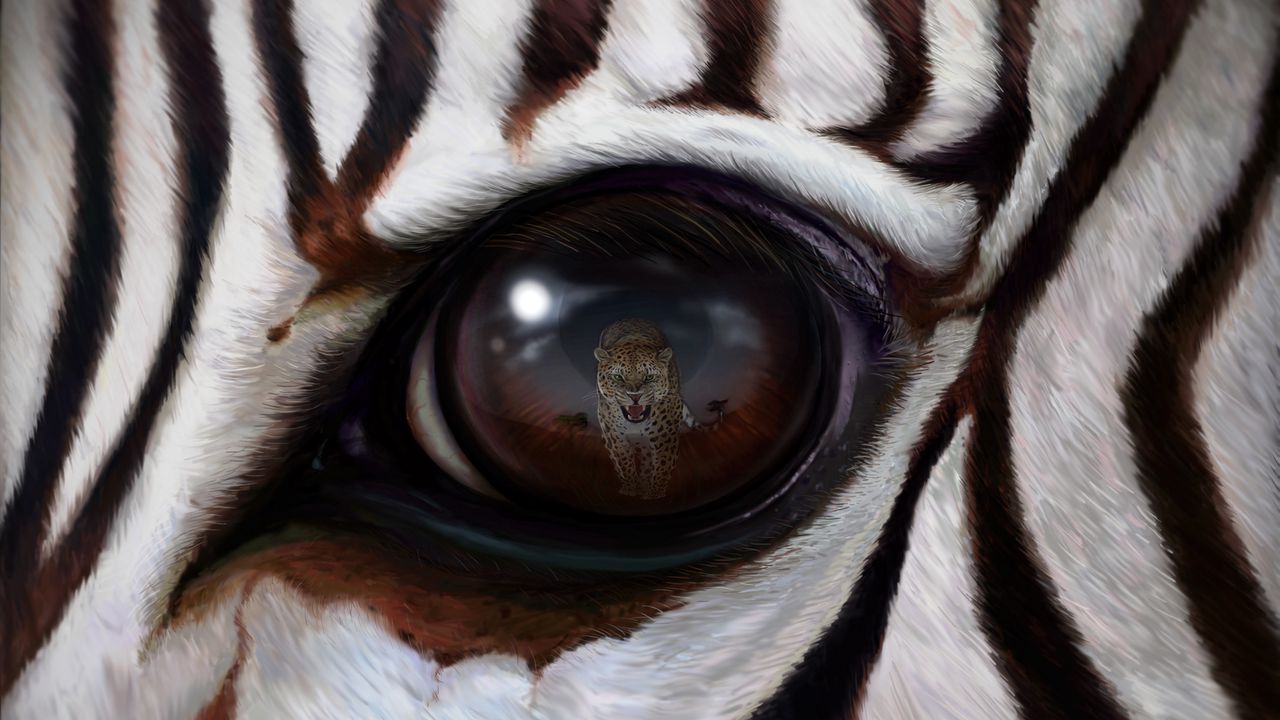 Обои зебра, глаз, отражение, леопард, хищник