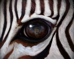Превью обои зебра, глаз, отражение, леопард, хищник
