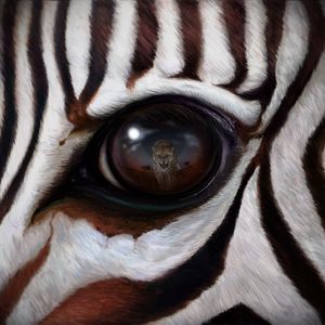 Превью обои зебра, глаз, отражение, леопард, хищник