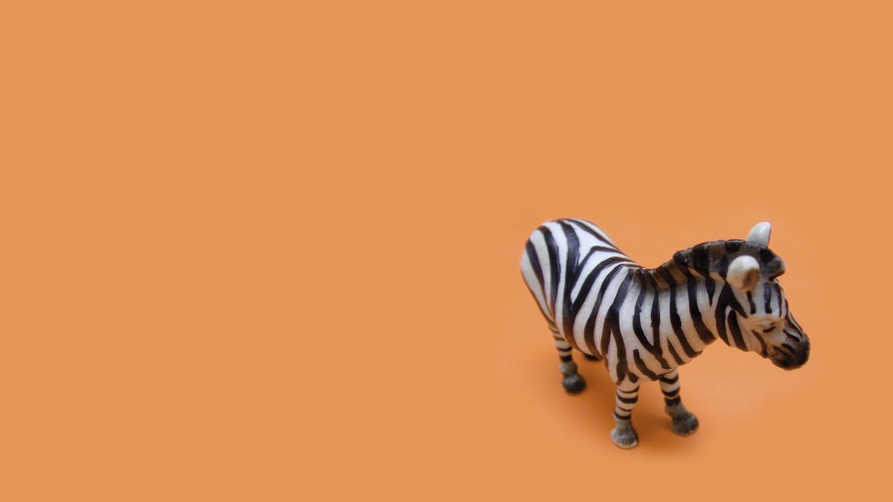 Обои зебра, игрушка, фон, полосатый