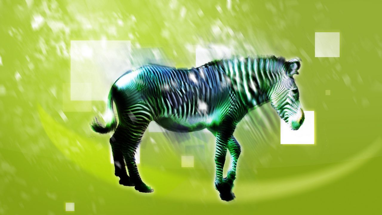 Обои зебра, животное, свет, рисунок, светлый