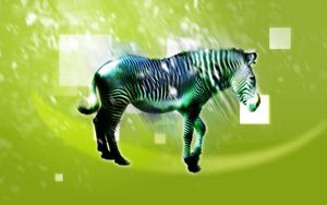 Превью обои зебра, животное, свет, рисунок, светлый