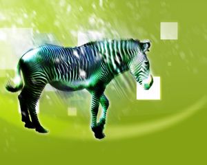 Превью обои зебра, животное, свет, рисунок, светлый