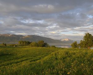 Превью обои зелень, лето, трава, деревья, облака, небо, берег