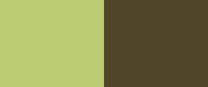 Превью обои зеленый, коричневый, линия, цвет, фон, минимализм