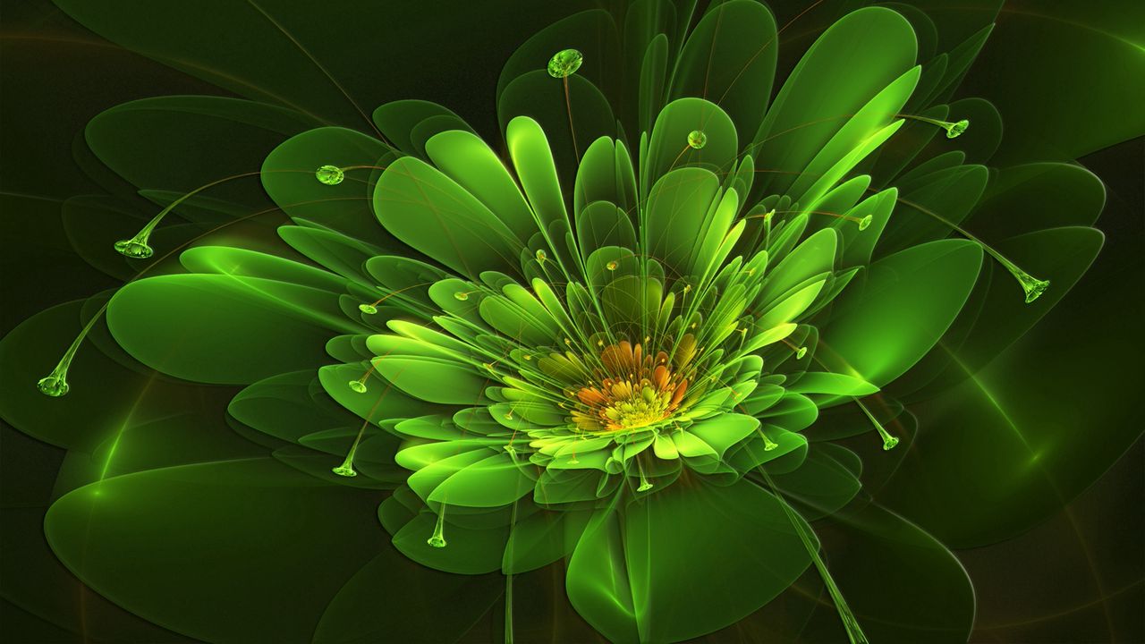Обои зеленый, цветок, фон, красочный, свет
