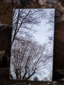 Превью обои зеркало, деревья, отражение