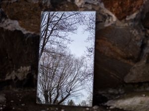 Превью обои зеркало, деревья, отражение