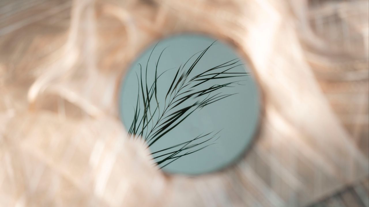 Обои зеркало, трава, отражение, листья, круг, фокус