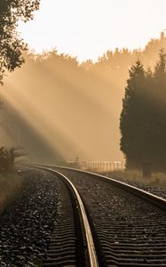 Превью обои железная дорога, деревья, туман, солнечный свет