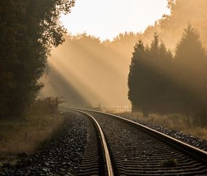 Превью обои железная дорога, деревья, туман, солнечный свет