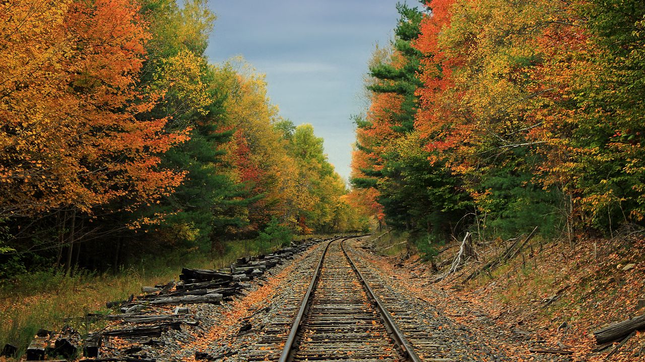 Обои железная дорога, дорога, лес, деревья, осень