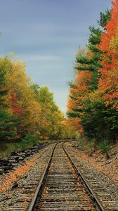 Превью обои железная дорога, дорога, лес, деревья, осень