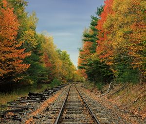 Превью обои железная дорога, дорога, лес, деревья, осень