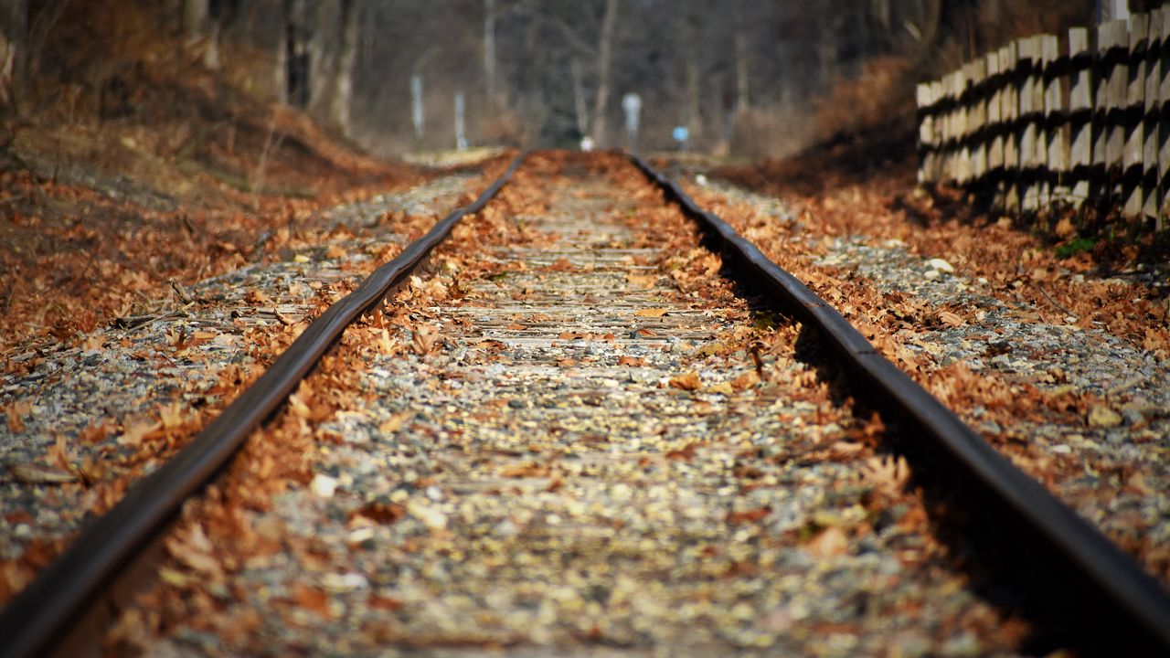 Обои железная дорога, листья, осень, размытие
